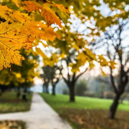 Powstancow 17 アパート