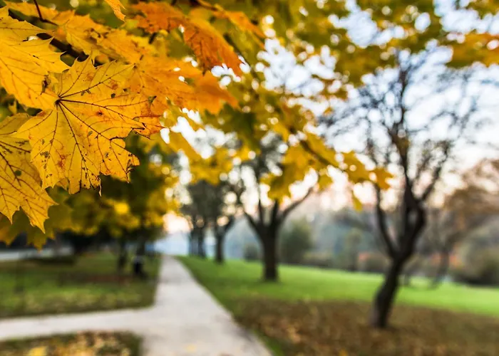 Powstańców 17 Apartamento